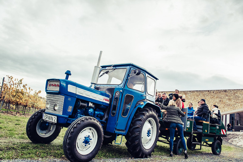 Oldtimertraktor von Winzer zu Winzer